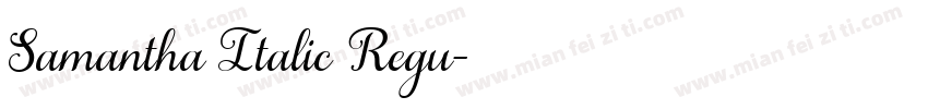 Samantha Italic Regu字体转换